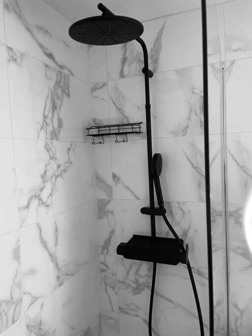 Superbe Duplex Cosy Apartment Reims Bagian luar foto